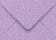 Purple Lace Booklet Envelope 6 x 9 - 50/Pk