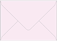 Lily Booklet Envelope 6 x 9 - 50/Pk