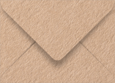 Colorplan Stone (Latte) Booklet Envelope 6 x 9 - 91 lb . - 50/Pk
