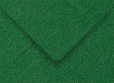 Colorplan Lockwood Green (Verde) Booklet Envelope 6 x 9 - 91 lb . - 50/Pk