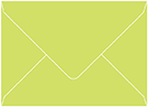Citrus Green Booklet Envelope 6 x 9 - 50/Pk