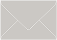 Wealth Booklet Envelope 6 x 9 - 50/Pk