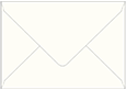 White Gold Booklet Envelope 6 x 9 - 50/Pk