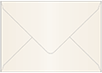 Pearlized Latte Booklet Envelope 6 x 9 - 50/Pk