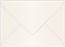 Pearlized Latte Booklet Envelope 6 x 9 - 50/Pk