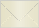 Champagne Booklet Envelope 6 x 9 - 50/Pk