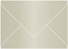 Gold Leaf Booklet Envelope 6 x 9 - 50/Pk