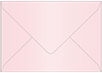 Rose Booklet Envelope 6 x 9 - 50/Pk