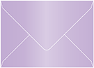 Violet Booklet Envelope 6 x 9 - 50/Pk