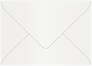 Lustre Booklet Envelope 6 x 9 - 50/Pk