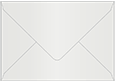 Silver Booklet Envelope 6 x 9 - 50/Pk