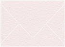 Rosa Arturo Booklet Envelope 6 x 9 - 50/Pk