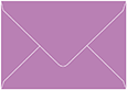 Plum Punch Booklet Envelope 6 x 9 - 50/Pk