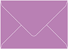 Plum Punch Booklet Envelope 6 x 9 - 50/Pk