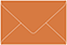 Papaya Business Card Envelopes (2 1/8 x 3 5/8)- 50/Pk