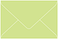 Pistachio Business Card Envelope 2 1/8 x 3 5/8 - 50/Pk