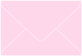 Pink Feather Business Card Envelope 2 1/8 x 3 5/8 - 50/Pk