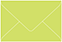 Citrus Green Business Card Envelope 2 1/8 x 3 5/8 - 50/Pk