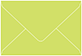 Citrus Green Business Card Envelope 2 1/8 x 3 5/8 - 50/Pk