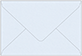 Blue Feather Business Card Envelope 2 1/8 x 3 5/8 - 50/Pk