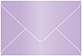 Violet Business Card Envelope 2 1/8 x 3 5/8 - 50/Pk