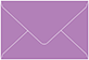 Grape Jelly Business Card Envelope 2 1/8 x 3 5/8 - 50/Pk
