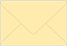 Sunflower Mini Envelope 2 1/2 x 4 1/4 - 25/Pk