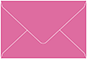 Raspberry Mini Envelope 2 1/2 x 4 1/4 - 50/Pk