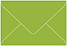 Iguana Mini Envelope 2 1/2 x 4 1/4- 50/Pk