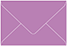 Plum Punch Mini Envelope 2 1/2 x 4 1/4- 50/Pk