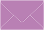 Plum Punch Mini Envelope 2 1/2 x 4 1/4 - 50/Pk