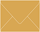 Serengeti Gift Card Envelope 2 5/8 x 3 5/8 - 50/Pk