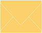 Bumble Bee Gift Card Envelope 2 5/8 x 3 5/8 - 50/Pk