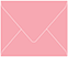 Matte Coral Gift Card Envelope 2 5/8 x 3 5/8 - 50/Pk