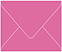 Raspberry Gift Card Envelope 2 5/8 x 3 5/8 - 25/Pk
