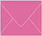 Raspberry Gift Card Envelope 2 5/8 x 3 5/8 - 50/Pk