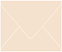 Latte Gift Card Envelope 2 5/8 x 3 5/8 - 50/Pk