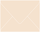 Latte Gift Card Envelope 2 5/8 x 3 5/8 - 50/Pk