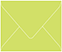 Citrus Green Gift Card Envelope 2 5/8 x 3 5/8 - 25/Pk