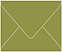 Olive Gift Card Envelope 2 5/8 x 3 5/8 - 25/Pk