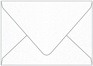 Metallic Snow Gift Card Envelope 2 5/8 x 3 5/8 - 50/Pk