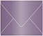 Purple Gift Card Envelope 2 5/8 x 3 5/8 - 25/Pk