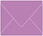 Plum Punch Gift Card Envelope 2 5/8 x 3 5/8 - 25/Pk