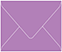 Grape Jelly Gift Card Envelope 2 5/8 x 3 5/8 - 50/Pk