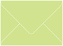 Pistachio A6 Envelope 4 3/4 x 6 1/2 - 50/Pk