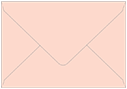 Ginger A8 Envelope 5 1/2 x 8 1/8 - 50/Pk