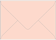 Ginger A9 Envelope 5 3/4 x 8 3/4 - 50/Pk