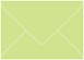 Pistachio 4 Bar Envelope 3 5/8 x 5 1/8 - 50/Pk