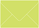 Citrus Green 4 Bar Envelope 3 5/8 x 5 1/8 - 50/Pk