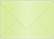 Sour Apple 4 Bar Envelope 3 5/8 x 5 1/8 - 50/Pk